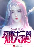 斗罗：开局觉醒十二翼炽天使